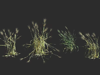Various Types of Agricultural Crops With Green and Yellow Foliage in Natural Setting 3d model