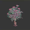 Potted Rose Plant With Red Roses Green Leaves Brown Trunk Pink Base On Gray Background