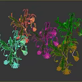 Decorative Plants With Green Leaves And Colorful Flowers Yellow Pink White Blooms On Curved Branches