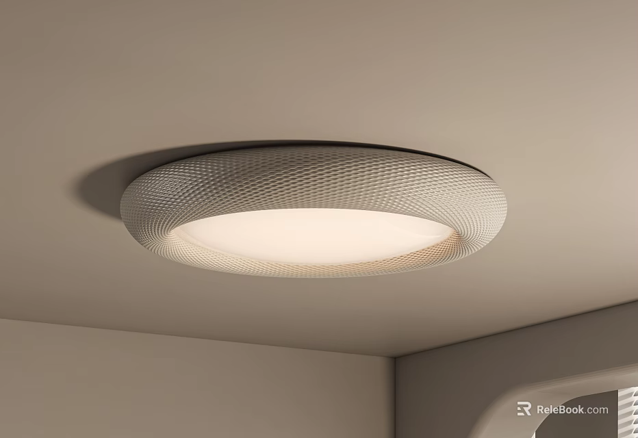 Round Textured Surface Ceiling Light With Soft Illumination For Modern Interior 3d model 