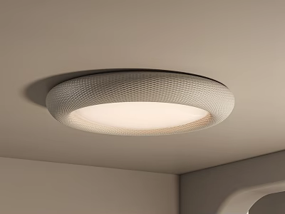 Round Textured Surface Ceiling Light With Soft Illumination For Modern Interior 3d model