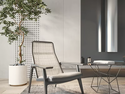 Modern Woven Accent Chair With Dark Frame Side Table And Green Plant In Living Room 3d model