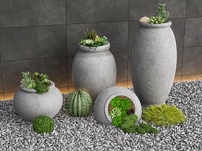 Bonsai Potted Plants with Succulents and Cactus in Grayish White Clay Pots on Pebble Ground 3d model