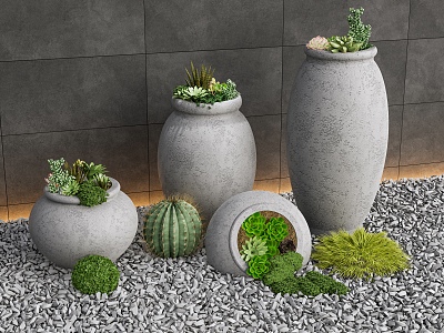 Fleshy potted plant flowerpot pottery pot sketch gardening sketch pottery pot ware ornaments landscape sketch 3d model