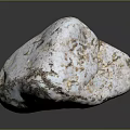 Natural Wood Stone Showing White Brown Speckled Texture And Natural Rough Surface