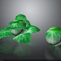 Fresh Green Cabbage with Leafy Outer Layers and Whole Round Head