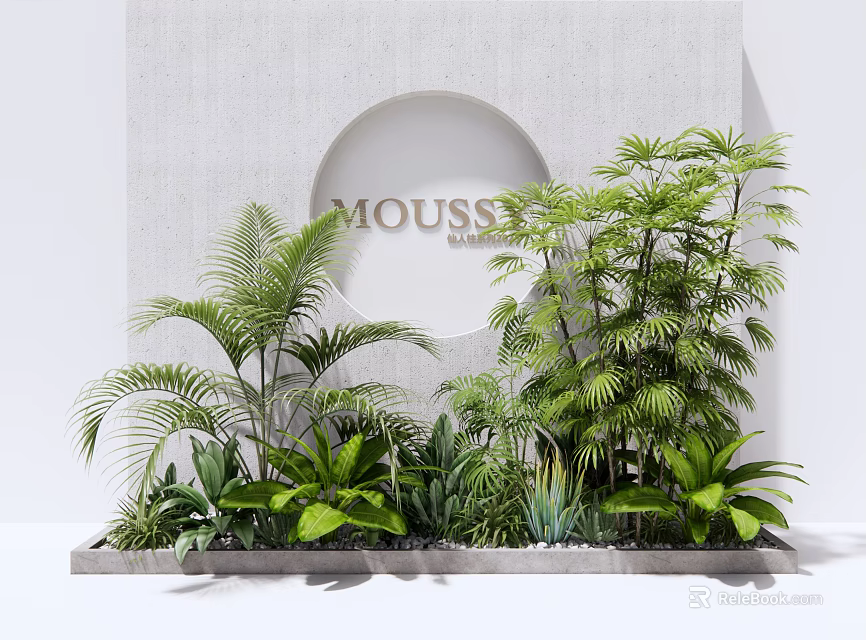 Various Green Plants Display for Modern Interior with MOU55E Circular Backdrop and Light Gray Base 3d model 