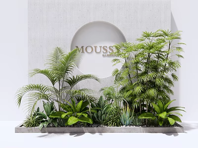 Various Green Plants Display for Modern Interior with MOU55E Circular Backdrop and Light Gray Base 3d model