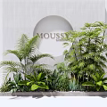 Various Green Plants Display for Modern Interior with MOU55E Circular Backdrop and Light Gray Base 3d model
