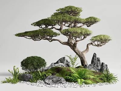 New Chinese style courtyard sketch Zen courtyard landscape pine landscape pine tree welcome pine indoor landscape 3d model