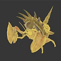Red Crab With Large Claws And Brown Spiked Shell On Back 3d model