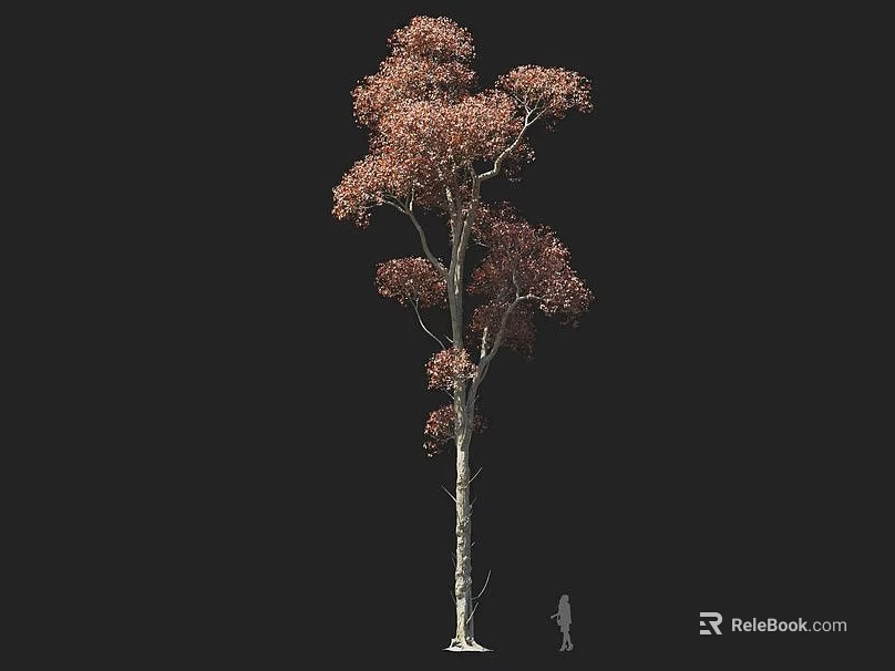 Tall Arbor With Reddish Brown Leaves Slender Trunk And Small Human Figure 3d model 