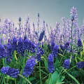 Lush Outdoor Bush With Vibrant Purple Flowers And Fresh Green Leaves In Garden