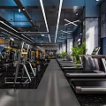 Modern Gym Interior with Treadmills Strength Training Machines Spacious Layout and Green Plants