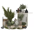 Decorative Ornament Combination With Green Plants Glass Vases Vintage Clock And Books