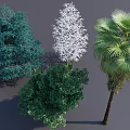 Collection of Various Trees Including Green Foliage White Textured and Palm Species