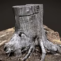Old Tree Stump With Exposed Roots Surrounded By Natural Soil And Small Plants