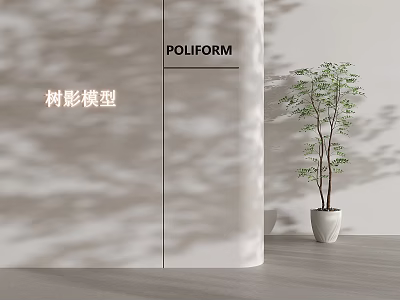 Modern Potted Tree with White Pot in POLIFORM Interior Featuring Tree Shadow 3d model