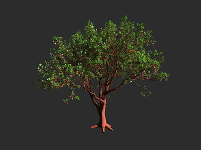 Green Leafy Arbor With Red Trunk And Fruits Isolated On Gray Background 3d model