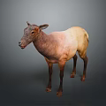 3D Rendered Standing Deer With Light And Dark Brown Fur On Gray Background