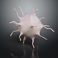 Detailed Microscopic Organ Structure With Hair Like Projections On Dark Background