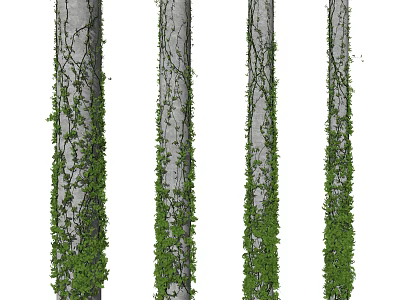 Lush Green Vines Climbing Gray Tree Trunks In Natural Environment 3d model