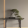 Elegant Pine Bonsai Plant On Dark Carved Stand With Lighted Beige Wall Background