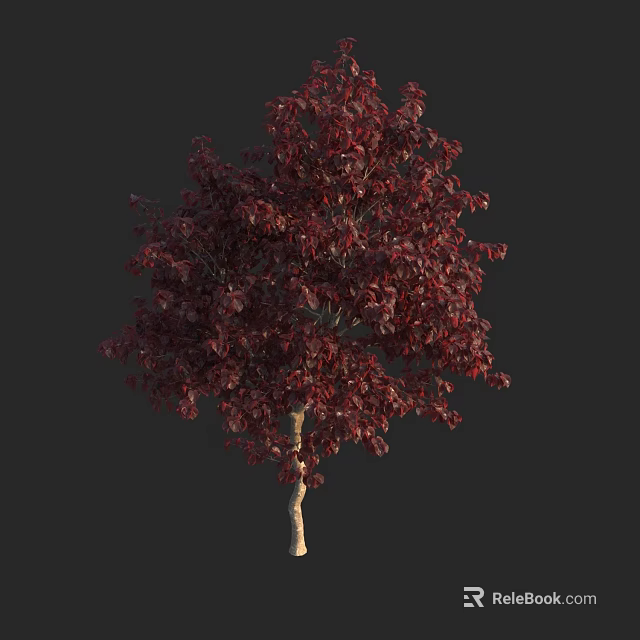 Tall Arbor With Dark Red Leaves And Light Colored Trunk On Dark Background 3d model 