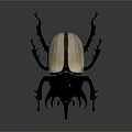 Black and White Horned Beetle With Large Curved Horns On Gray Background