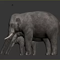 Three Gray Elephants Standing Together In Size Order Small Medium Large