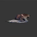 Cat Lying On Soft Blue Cushion Sleeping Peacefully And Comfortably 3d model