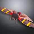Vibrant Striped Cicada With Red Body Black Head And Yellow Striped Wings