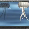 Graceful Purple And White Jellyfish With Transparent Bodies And Flowing Tentacles