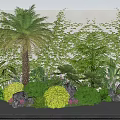 Flowering Plants And Green Bushes With Palm Tree By Ivy Covered Wall In Lush Garden