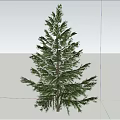 Tall Green Tree Standing in Open Plain Under Clear Blue Sky With White Clouds 3d model