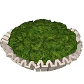Wavy Grayish White Sculpture With Bowl Shape And Lush Green Moss