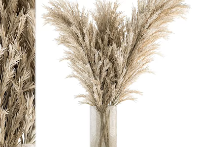 Natural Beige Dried Pampas Grass Arrangement In Clear Glass Vase For Home Decor 3d model