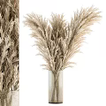 Natural Beige Dried Pampas Grass Arrangement In Clear Glass Vase For Home Decor