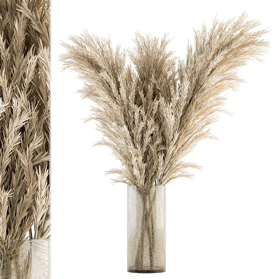 Natural Beige Dried Pampas Grass Arrangement In Clear Glass Vase For Home Decor 3d model