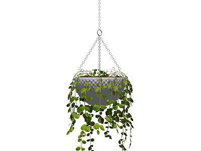 Hanging Basket Plant With Trailing Green Vines In Suspended Metal Planter For Indoor Decor 3d model