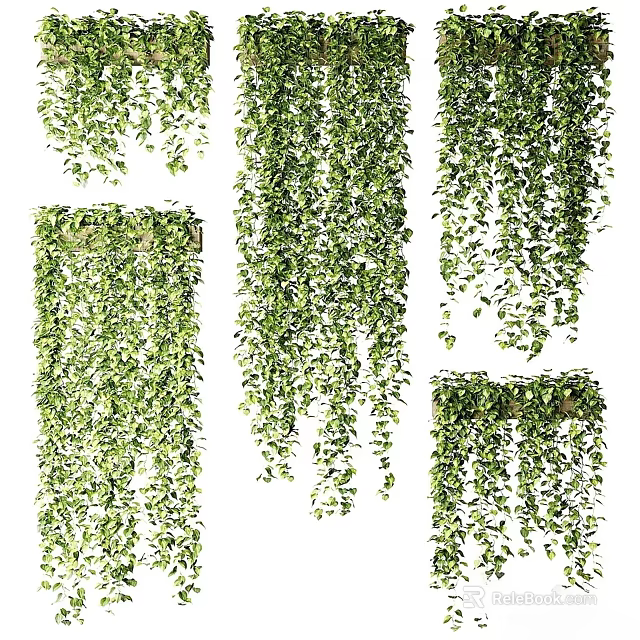 Decorative Hanging Green Plants Featuring Trailing Vines And Lush Cascading Leaves 3d model 