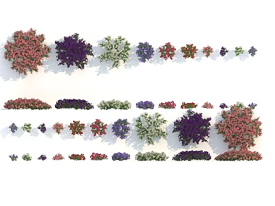 Colorful Flowering Plants In Various Colors And Clustered Decorative Forms 3d model