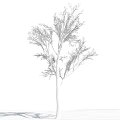 Leafless Tree Standing Against Clear Blue Sky With White Clouds 3d model