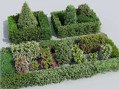 Various Shaped Flowering Shrubs in Garden Landscaping with Green and Purple Foliage 3d model