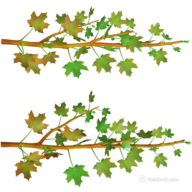 Vibrant Green and Orange Maple Leaves on Natural Tree Branches 3d model