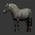 Realistic Light Brown Horse With Blue Black Mane Standing On Gray Background