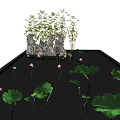 Small Garden Ornament With Lotus Leaves Flowers And Rock Formations In Pond