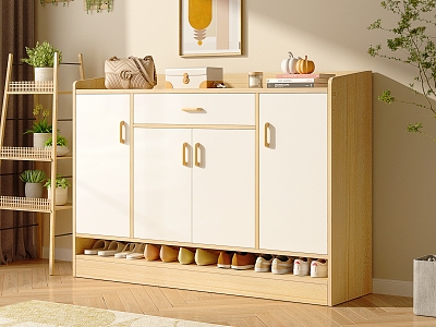 Nordic Shoe Cabinet model