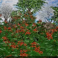 Vibrant Blooming Flowers And Lush Green Plants In Natural Garden Setting With Fresh Foliage