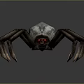 Realistic 3D Model Spider With White Back Brown Legs And Red Eyes On Gray Background